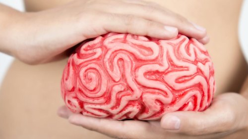 Cerveau, intestins et humeur : l'étonnante découverte de chercheurs de l'Institut Pasteur