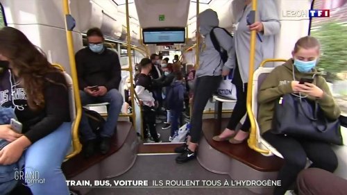 Train, bus, voiture : ils roulent tous à l'hydrogène