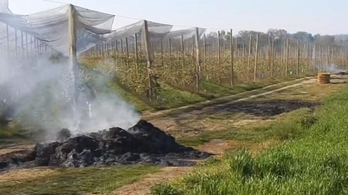 Tarn : une vingtaine de personnes intoxiquées par des feux contre le gel des vergers