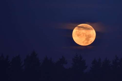 November Full Moon: Mourning Moon Magic