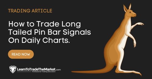 How to Trade Long Tailed Pin Bar Signals on Daily Charts » Learn To Trade The Market