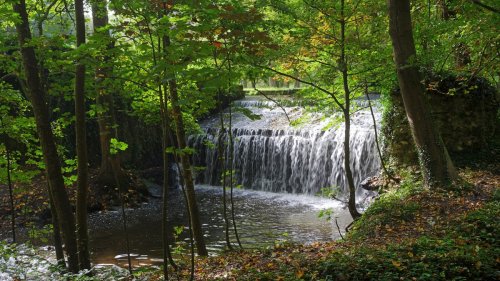 Étang, cascades et abbaye : cette rando à 50 km de Paris est la plus fraîche de la région