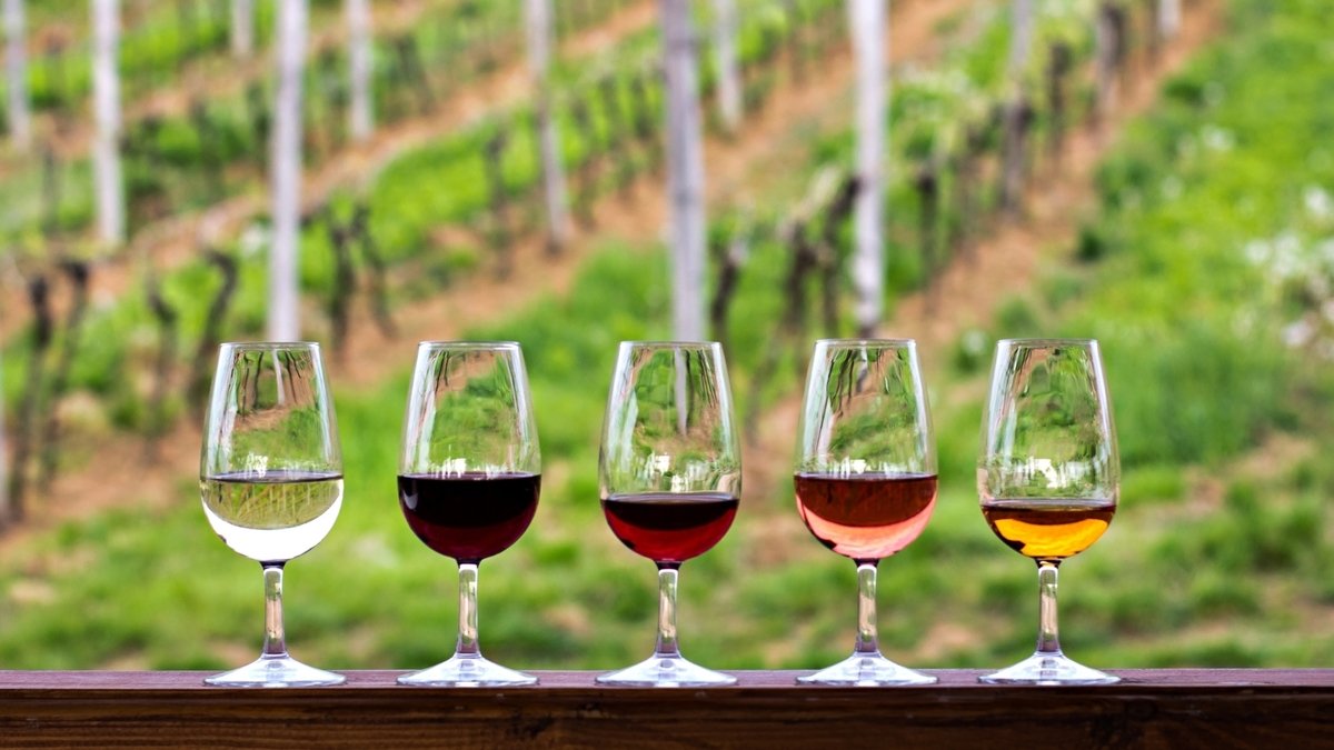 Le vin sans alcool en Bourgogne : innovation ou menace pour notre terroir ?