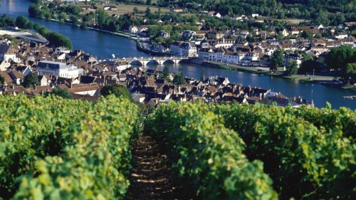 À 1h30 de Paris, ce petit village rempli de vignobles vous offre une escapade dépaysante !