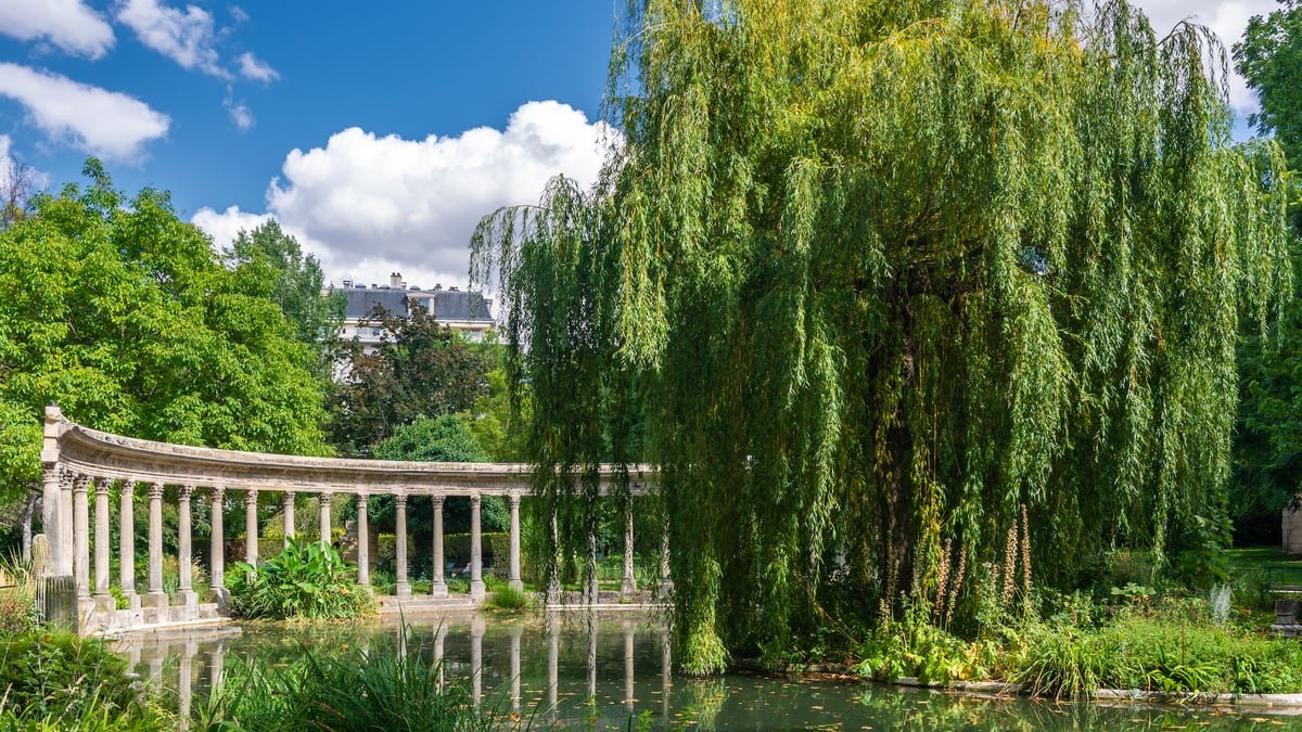 Nouvelle rivière et végétalisation massive : Paris lance un nouveau plan biodiversité