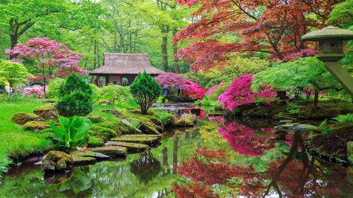 Pépite : l'un des plus beaux jardins japonais de France se cache à 1h de Lyon