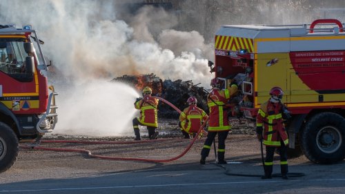 Plus de 50 animaux d'une animalerie morts dans un incendie près de Nantes