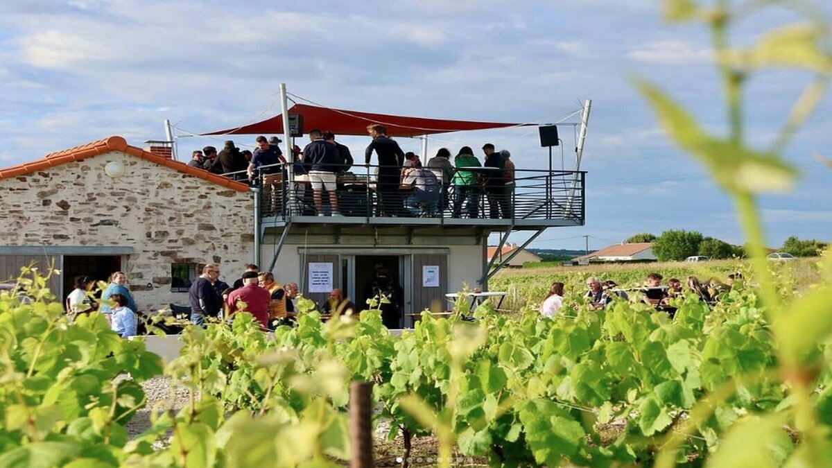 La Cabane : une guinguette éphémère dans les vignobles nantais