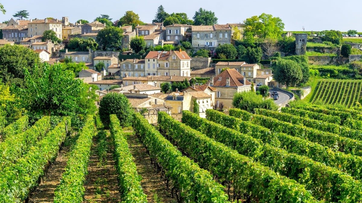 Plus de 100 châteaux ouvrent leurs portes tout le week-end pour les JPO de Saint-Emilion