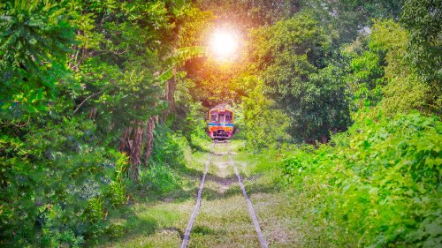 Ce train secret au départ de Paris vous dépose en pleine forêt