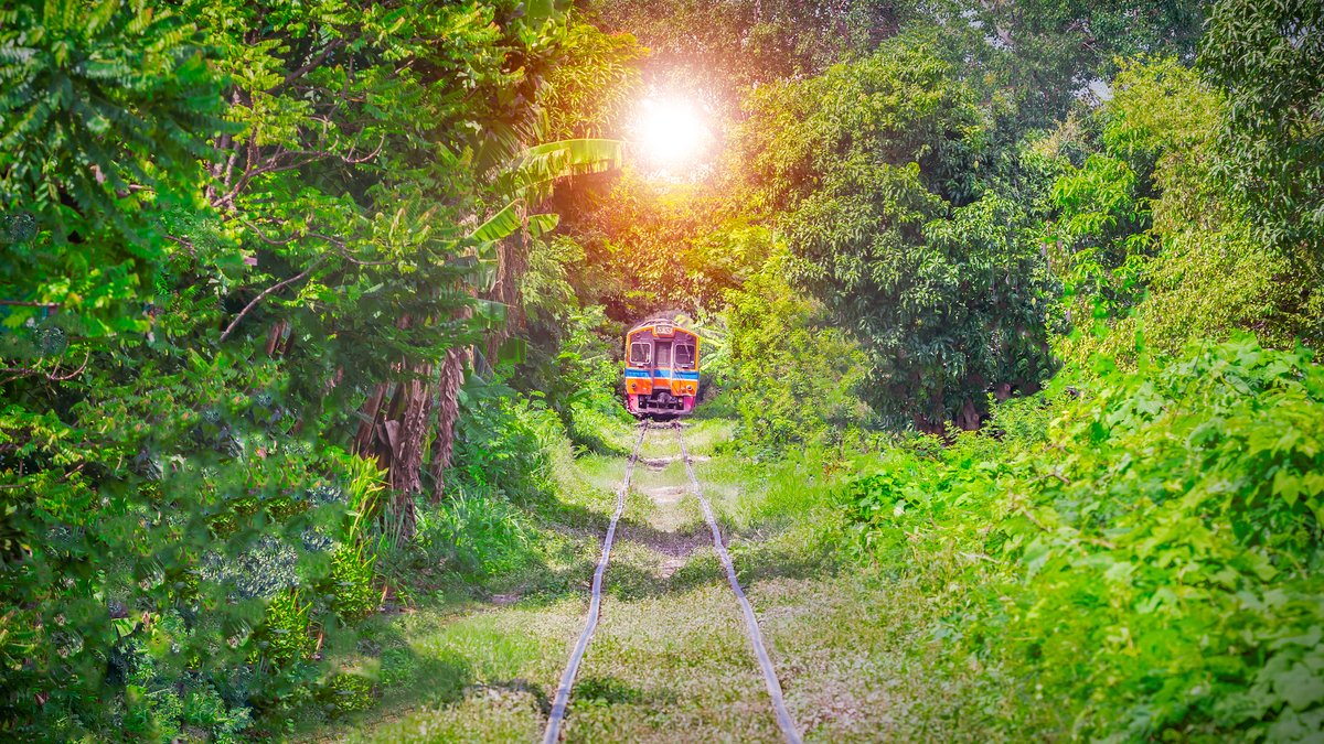 Ce train secret au départ de Paris vous dépose en pleine forêt