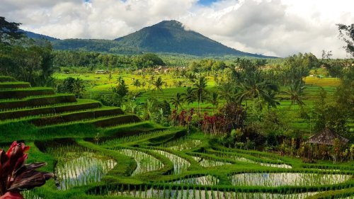 Sortez le porte-monnaie : Bali impose une taxe d'entrée aux touristes