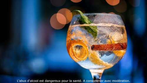 Genever : découvrez le premier bar à Gin de Lille