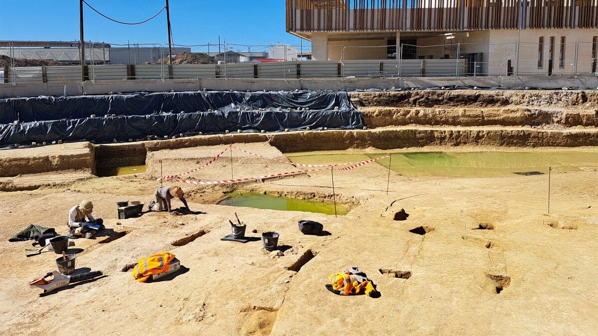 Un vignoble grec vieux de 2 500 ans découvert sous les quartiers Nord de Marseille