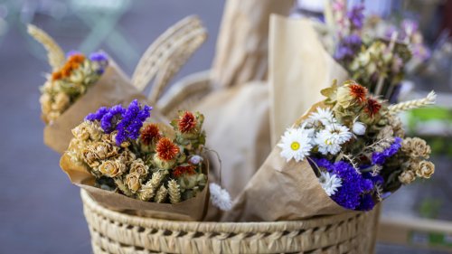 Une grande vente de fleurs séchées à prix mini va débarquer à Toulouse