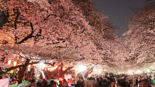 Un énorme festival japonais arrive à la Cité Fertile cet été