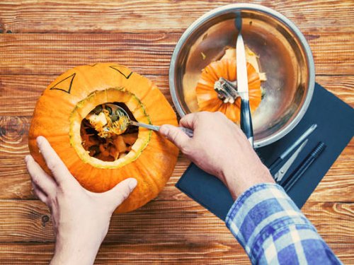KÜRBIS | PumpkinMania cover image