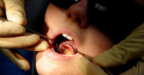 Dentists halt regular check-ups blaming underfunding and 'broken system'