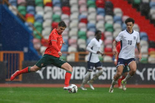 Unseen Leeds United youngster becomes Daniel Farke’s new secret weapon with inspired international display