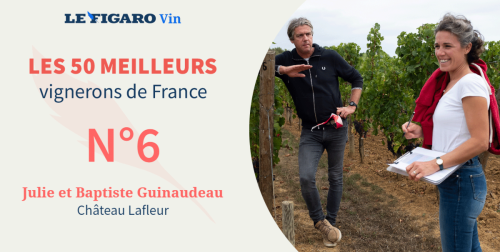 Voisin confidentiel de Petrus, Château Lafleur est nommé 6e meilleur vigneron de France par Le Figaro Vin