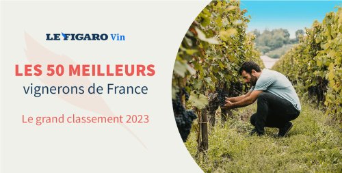 Le Figaro Vin lance sa sélection des 50 meilleurs vignerons de France