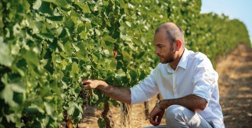 Matthieu Dubernet, une vision décapante du monde du vin: « Nous sommes condamnés à lier les principes œnologiques et les principes environnementaux»