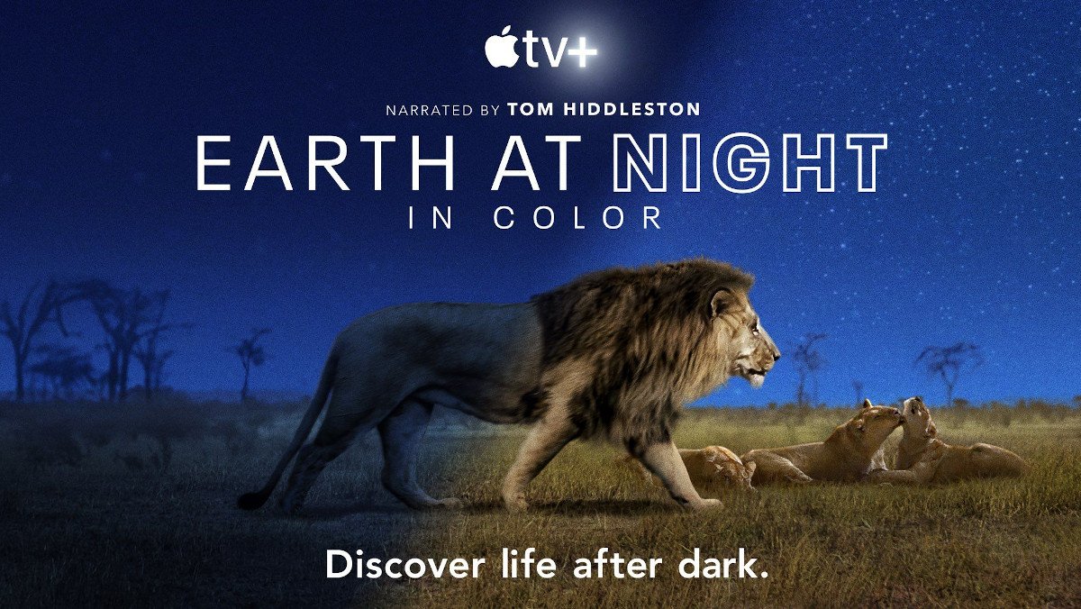 Tom Hiddleston Makes Nature Sound Sexy in EARTH AT NIGHT IN COLOR Clip