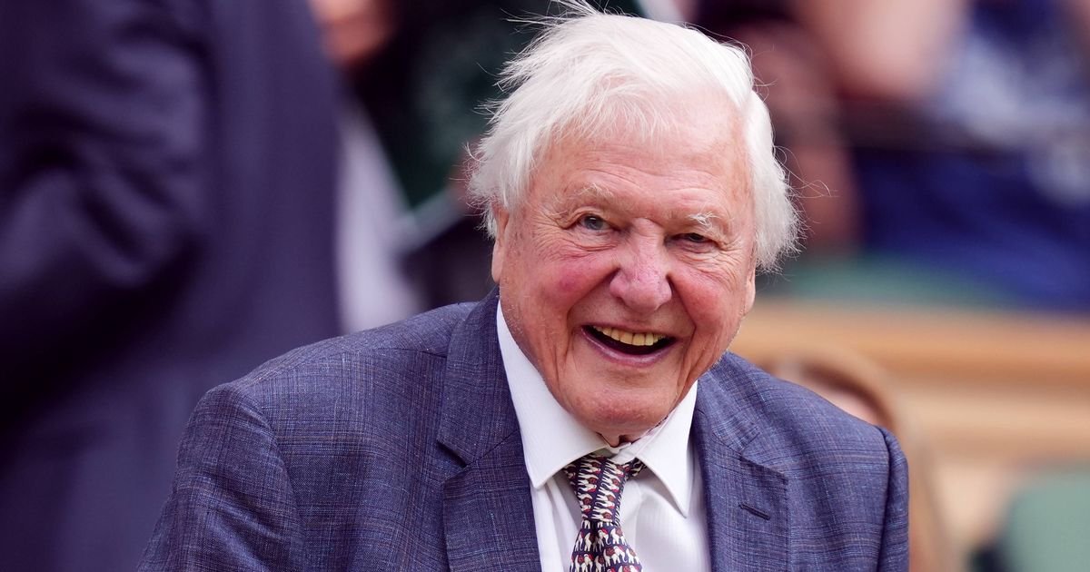 New David Attenborough and Freddie Flintoff shows to air on Disney+