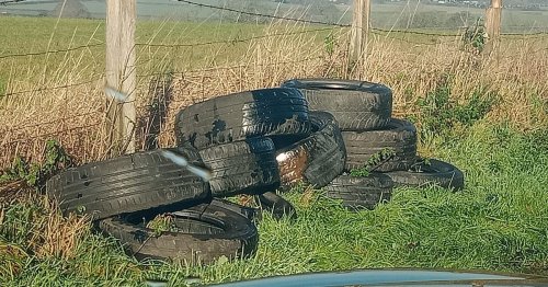 Constant fly-tipping turns country lane into makeshift dump