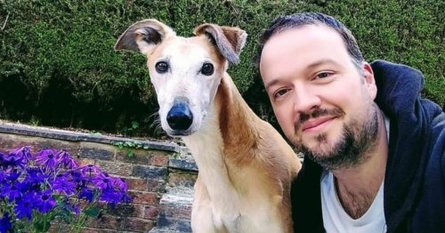 Darwen dog lover makes heartwarming promise to rescue dogs