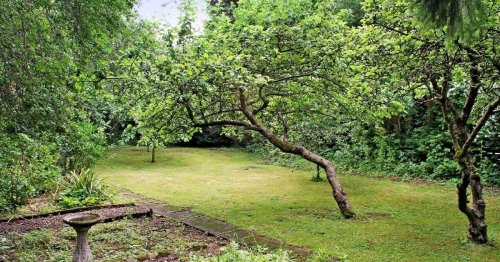 The Leicester four bed for sale with its own orchard