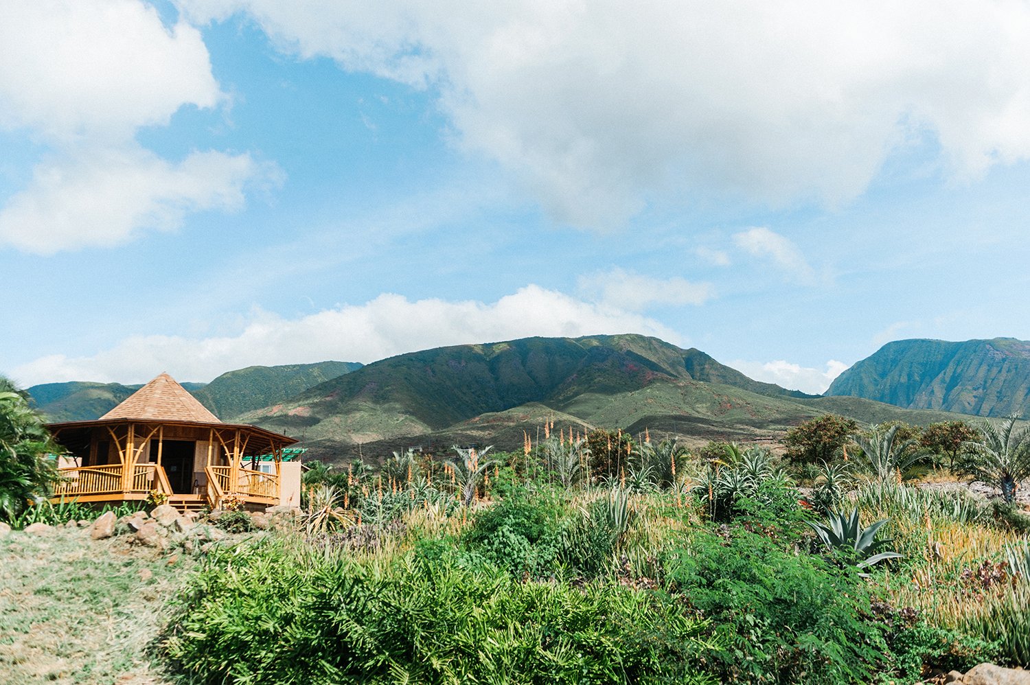 Check out These Three Farms on Maui