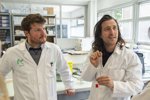 A Bordeaux, une usine à cellules souches ouvre la voie aux thérapies cellulaires