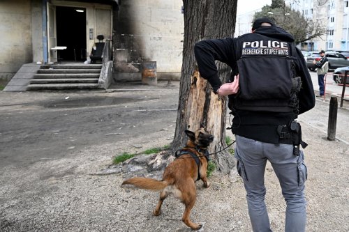 La police judiciaire décrit la « dissémination » inquiétante et la « violence exacerbée » du crime organisé en France
