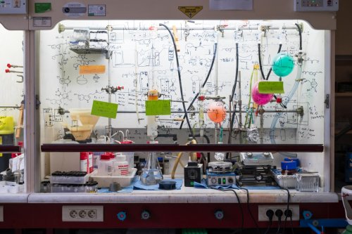 Cancers : en France, la création d’une nouvelle molécule conçue pour éliminer les cellules métastatiques