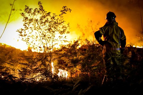 Incendies en France : déjà 47 000 hectares brûlés depuis le début de l’année