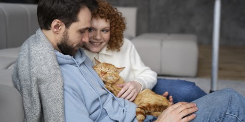 Pourquoi le chat préfère-t-il certains membres de la famille et pas d'autres ?
