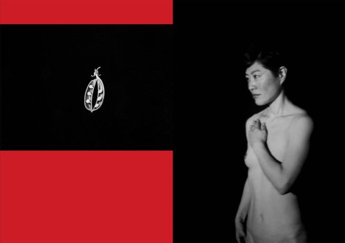 HOJO - Photographs by Mayumi Suzuki | Essay by Marigold Warner | LensCulture