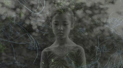 The Secret Place with Nowhere to Hide - Photographs by Jiatong Lu | Essay by Marigold Warner | LensCulture