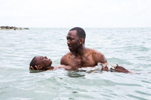 The Photographic Inspirations Behind Moonlight, 2016’s Best Picture - Interview with James Laxton, Moonlight’s cinematographer | LensCulture