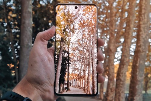 HONOR 50 – Concours Photo & Vidéo