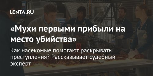 «Мухи первыми прибыли на место убийства»