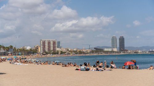 « Une découverte très importante » : l’épave d’un grand bateau médiéval exhumée en plein Barcelone
