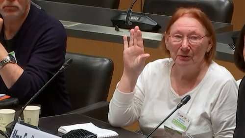 VIDÉO. « Les chiens l’ont mangée » : le récit sidérant d’une représentante des victimes des institutions du Bon Pasteur