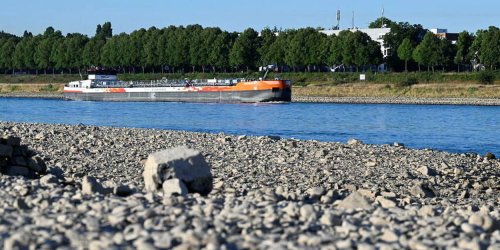 Rhin : l’autoroute fluviale européenne bientôt mise à l’arrêt ?