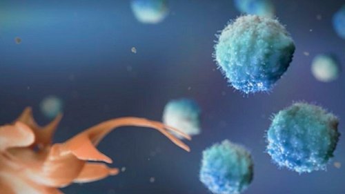 Trangene dévoile des données positives pour son vaccin thérapeutique contre le cancer