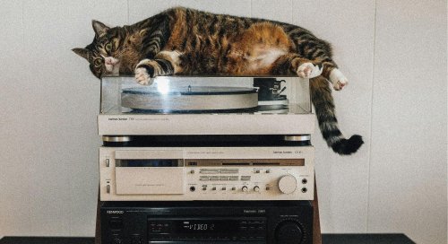 Vous avez une platine ? Voici 3 vinyles à écouter ce mois-ci.