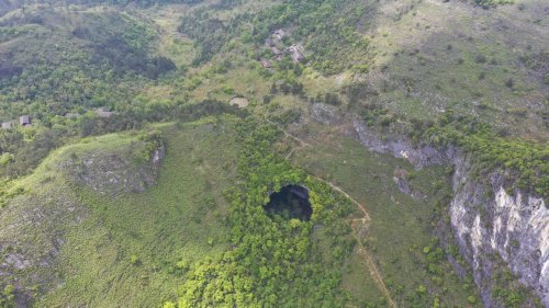 Des scientifiques découvrent une forêt souterraine dans un gouffre géant en Chine (photos)