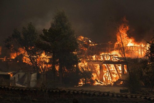 Feux de forêts au Chili: le bilan monte à16 morts (photos)