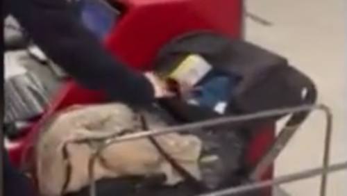 Un couple de Belges tente d’abandonner son bébé avant son vol pour Bruxelles (vidéo)